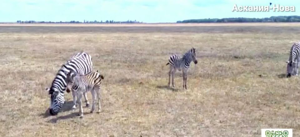 � ����������� � ���������� ������� �������� ��� ��������� �����