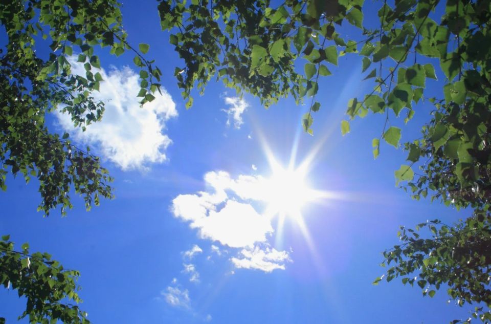 � ���������� ������������� ������ 3 ���� ����� �������� � �����