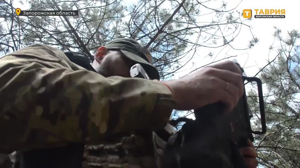 ������������ ��������� � ������������ ����������� ����� "�����" ���������� ������� ������� ���