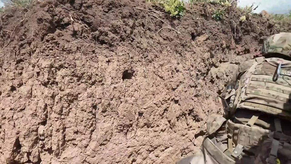 ���� �� �������: �� ���������� ����������� ��������� ������ 104 �� ��� ��������� �������� ���������� �� ��������� � ������� ������ ���