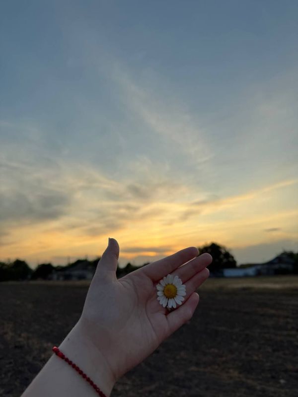 �������� ����������� ������ � ���� ���������� ���� ���� ���������� ������ �� ������������