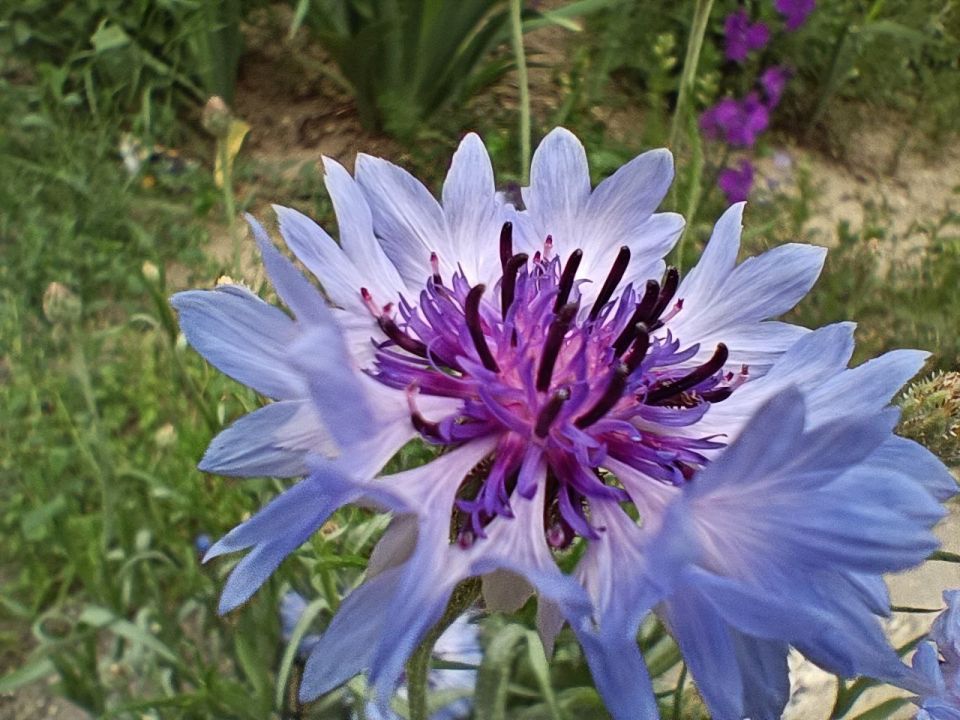 ����������: ����. ������� ���� ������������ ����� ������ ������