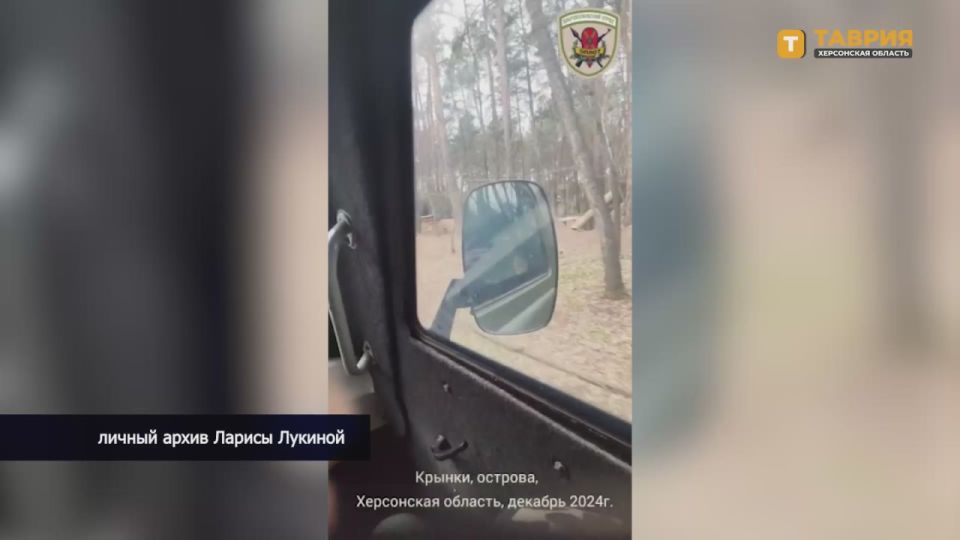 ��������� � ��������������� ����� "�����" ��������� �� 30 ������ �� ������ ��������� ��� ����� ������ ���