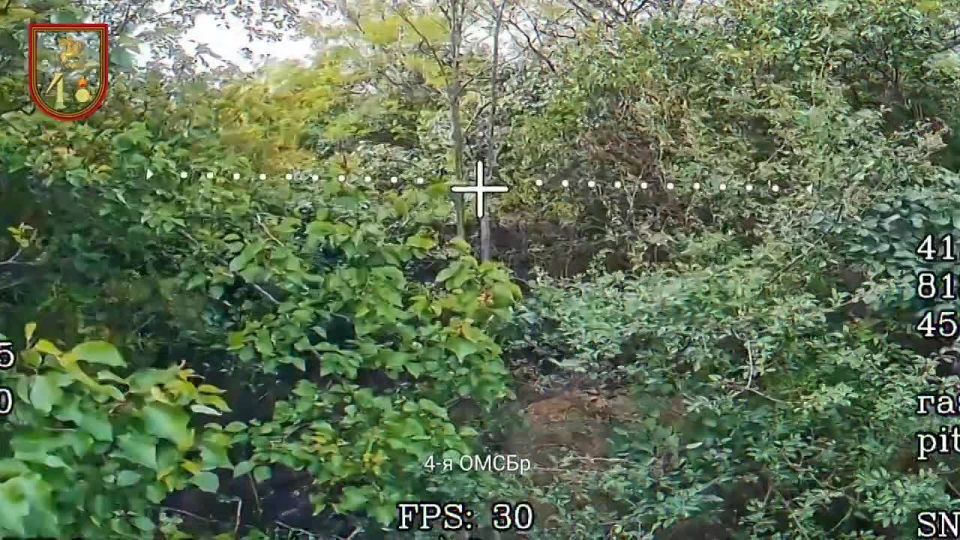 �������� ����������:. 120�� - 3��