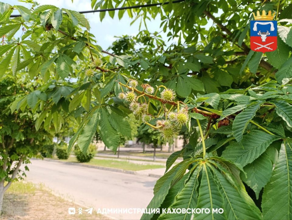 ������ ����, ������ ���������� �������������� ������!