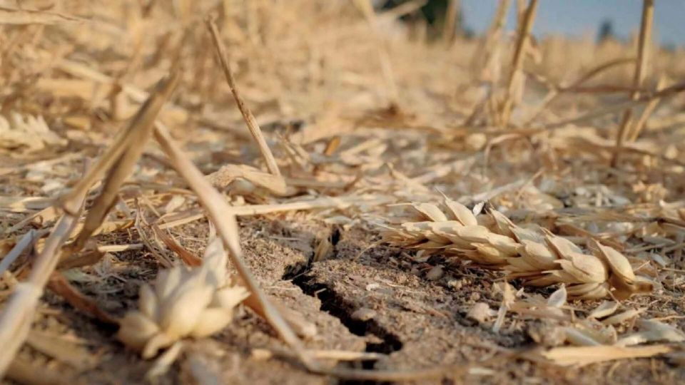 ����� ��������: ��������� ������. � ����� ��������� ����������� ������� �������