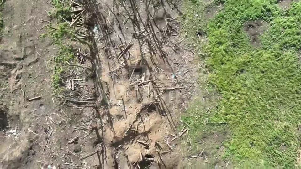 ��������� �������� ������� � ���������� �����������