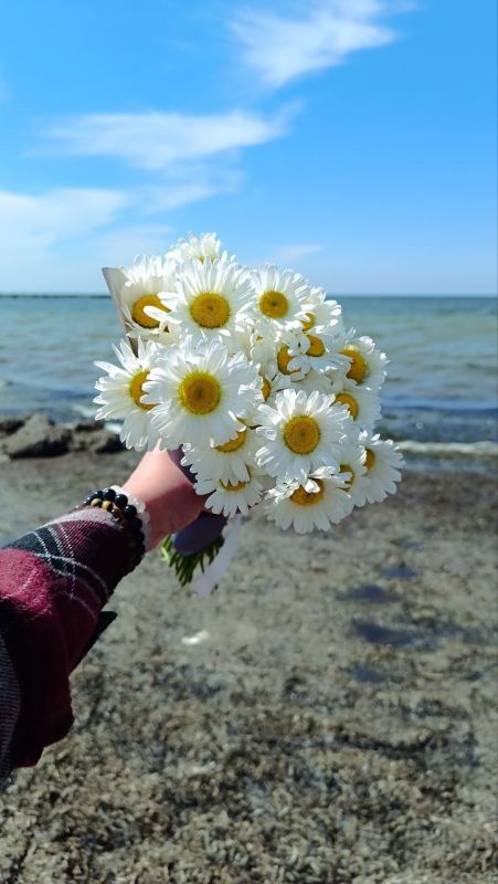 ������ ��������o - �� ����o, ��o ������� o �������������