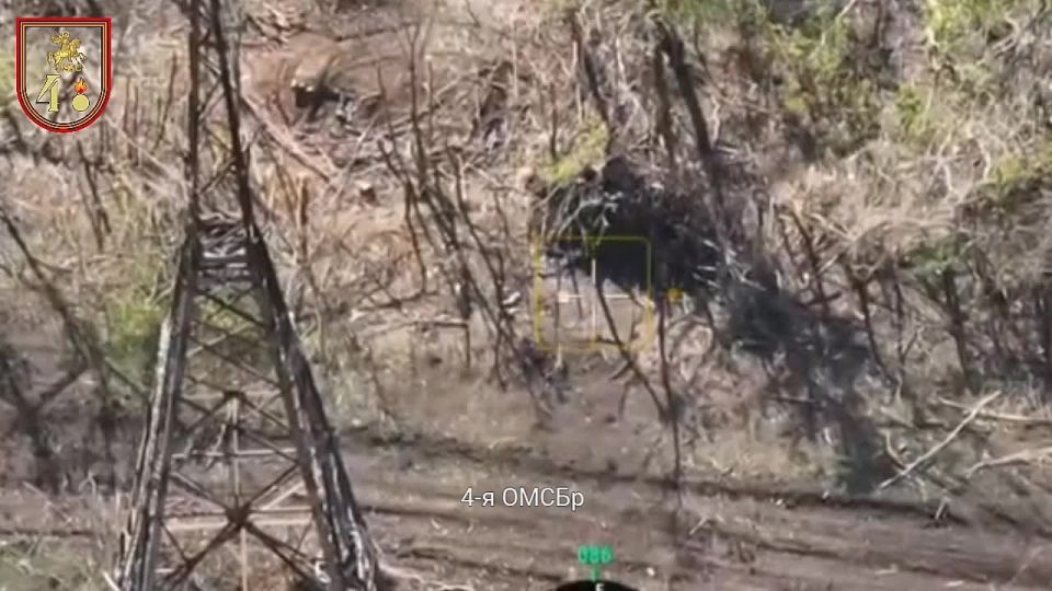 ������� ���������� ���� ����������: