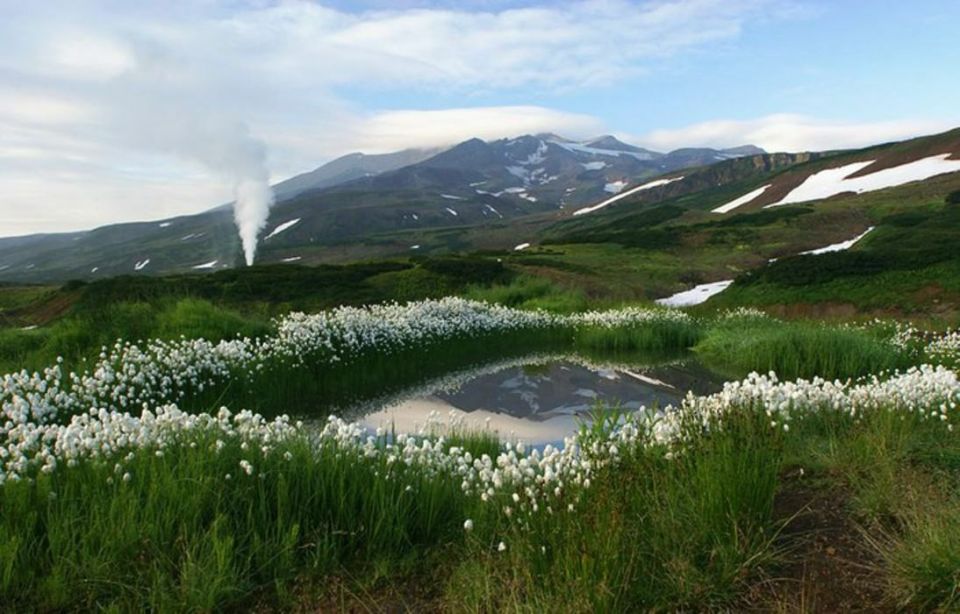 . ����� ��������� , ����������� , ����� �������� , ������ ����