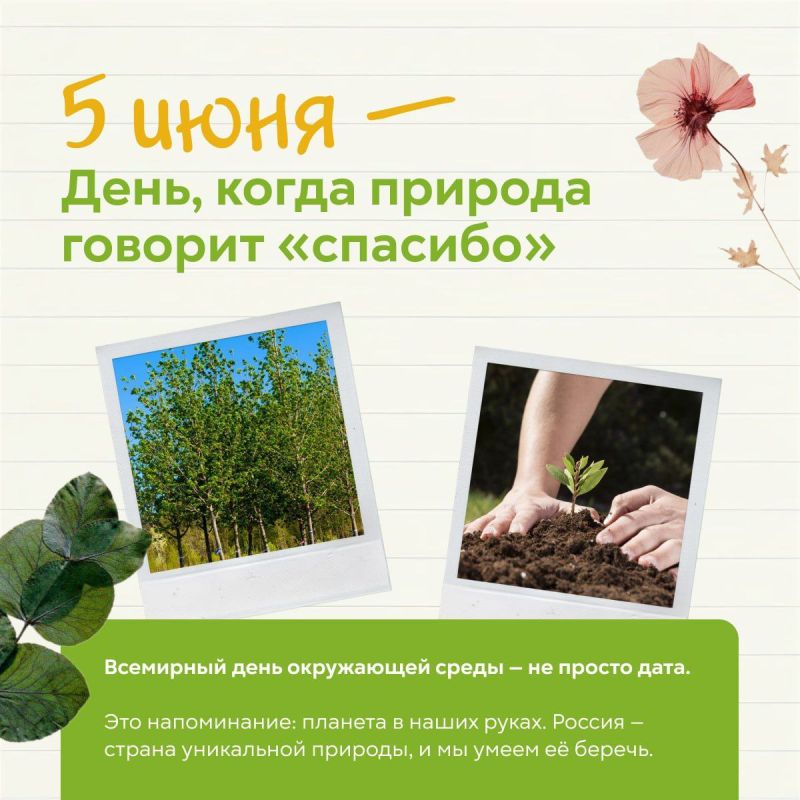 ������� � 5 ����, ��������� ���� ���������� �����