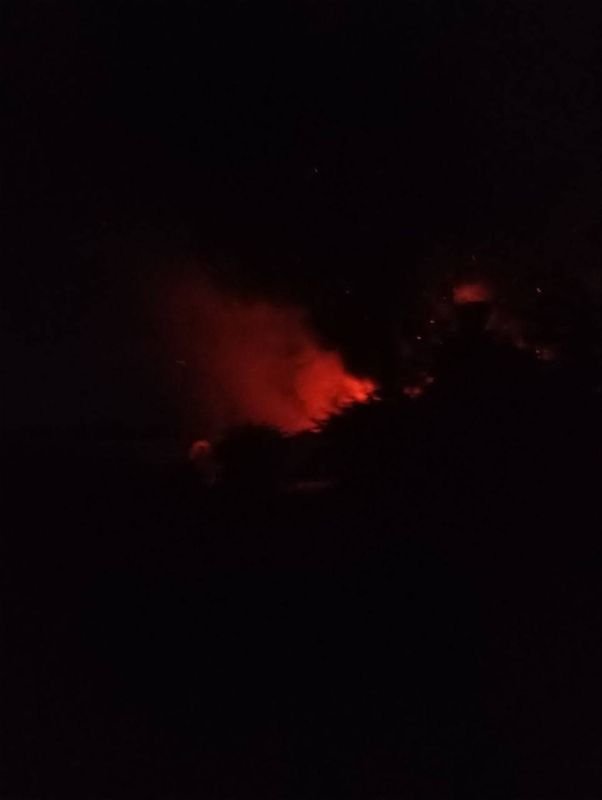 ��������� ����� ����� �� ���������� ���������� ������� ���������� ������������