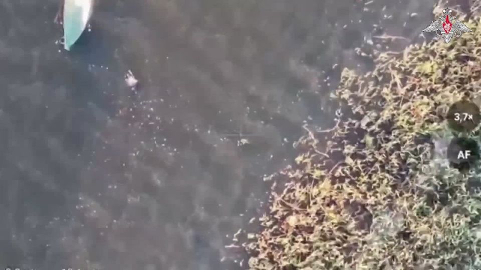 ����� � ���������� ���������� � ���������� ������� ��������� ���� ����������� �����