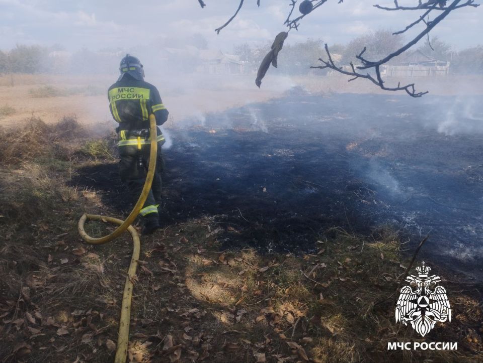 За минувшие сутки на территории Херсонской области ликвидировано десять пожаров, семь из которых — ландшафтные