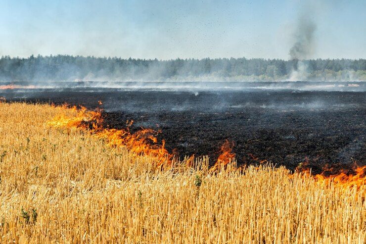 ��������! ������������� ����� � �������