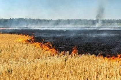 ��� ���� �������� ������ 6 ���� ������� ����� � ������������ ���������