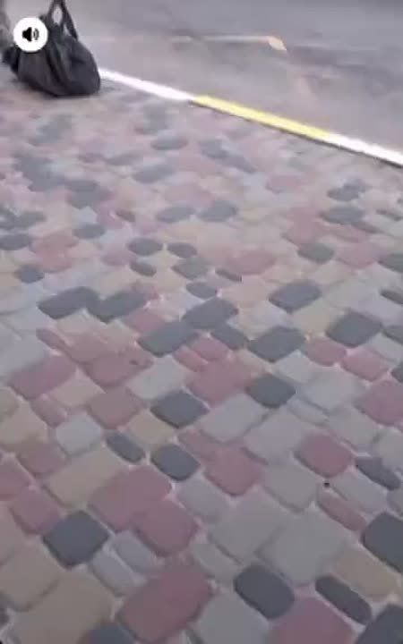 ����������� ���������: ������� ��� ������ ������� ��� "�������-�����"