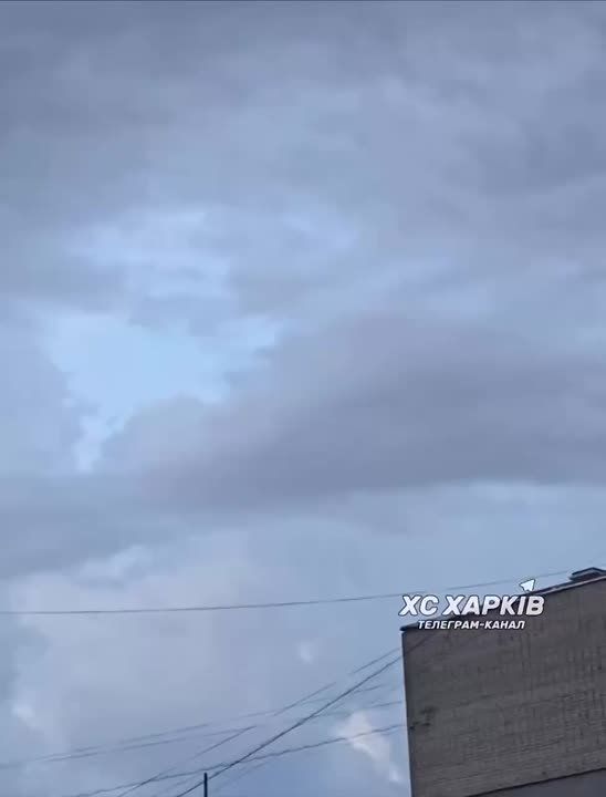 ����� � �������� ���� ����������