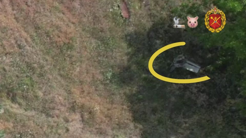 49 ����� ������������� - �������, ���� � ������� �������, ������ ������ ��������!!!