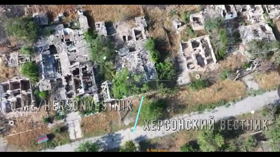 �������������� 49-� ����� ������� ������������ ������� ���������� � �.�. ��������