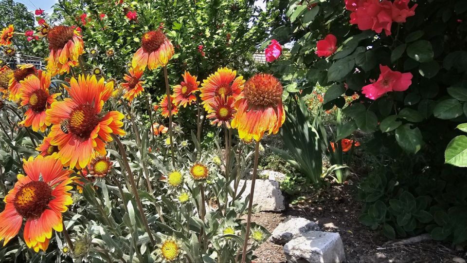 ����� ������ ����������� ����!