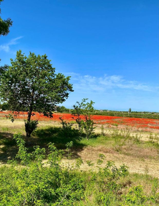 ������ ���� ����!. ����������, ������������� ��������! ������������� ������!