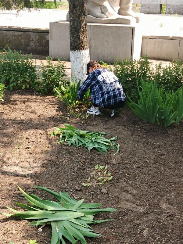 ��������������� �������� ��������� ��������������� �������������� ������