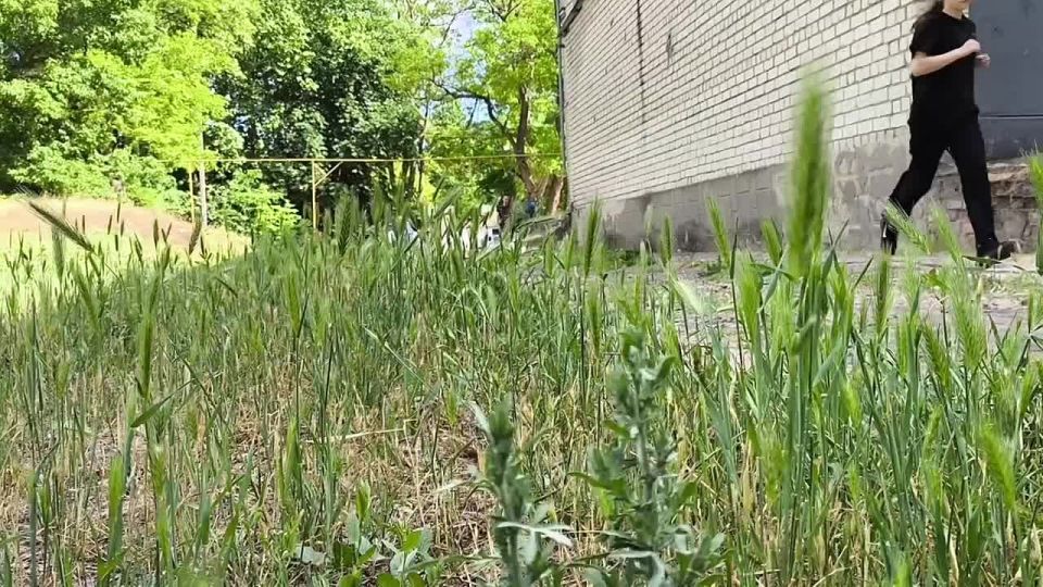 ����������� �����: ����� ��� ����� �����