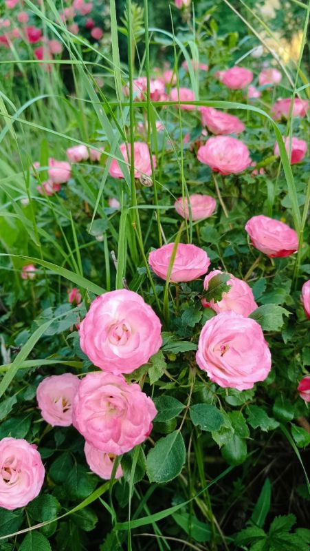 ������ ����� � ����� - �� ��������� ��������, ��� ��� ����� ��������