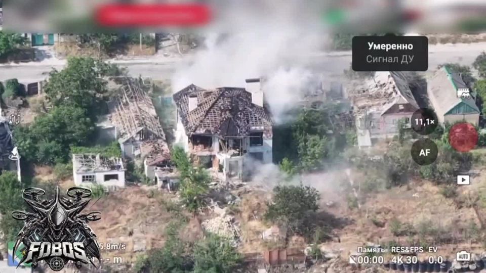 ���� �� �������: ���������� �����������. ���������� ������ ������ ����� � ��������� �������� 24 ���