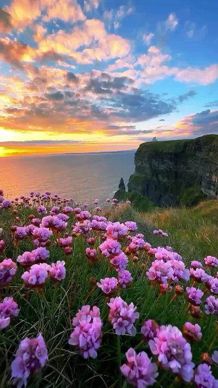 �����, �����, ����. �����!