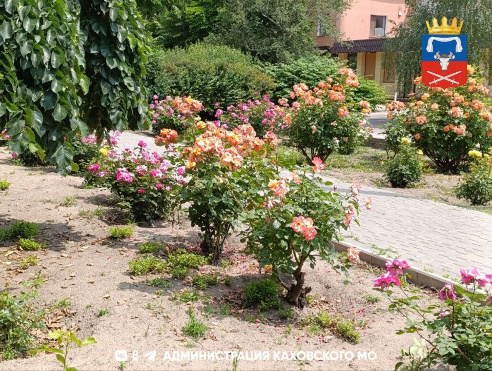 ������ ����, ������ ���������� ������!