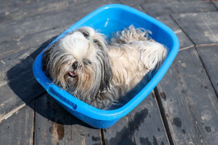 ��������� ���������� ������������ � ������ ������ 7 ����