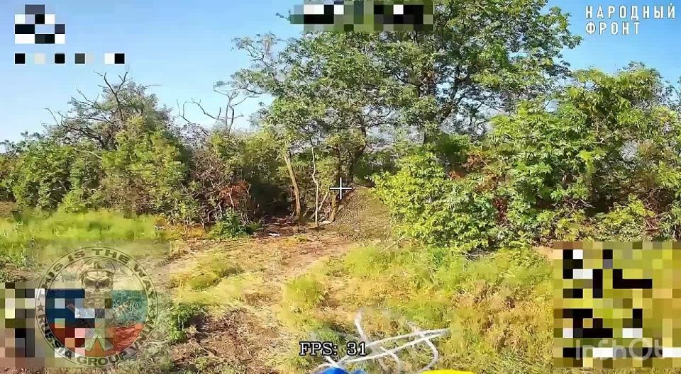 ����-�������� �����������