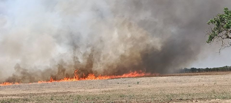 ������������ ������� ������� ������������� ����� �� �����