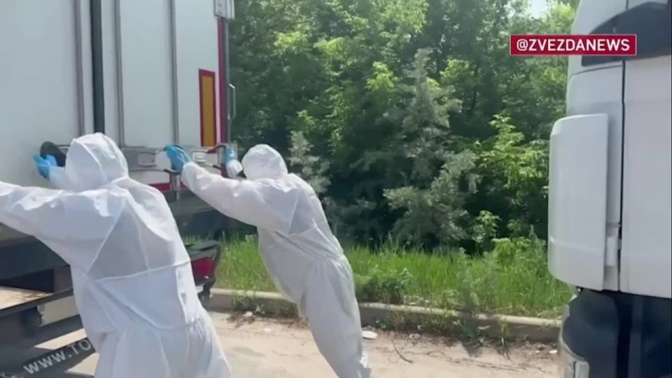 ���� �� �������: �� ������� � �������� ����� ������������� � ������ ���������� ��������������