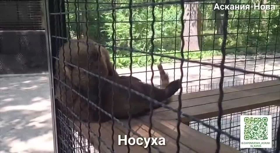 ����� ������ � ����������� ���