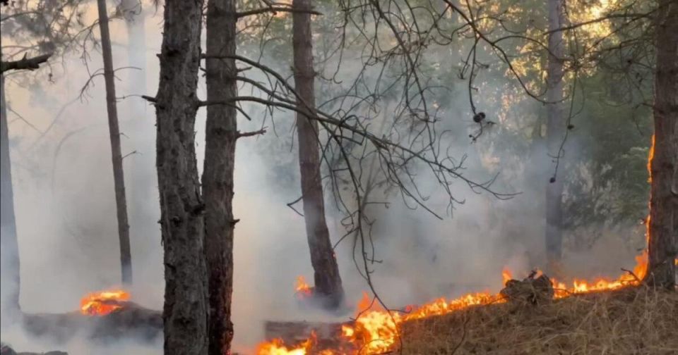 ВСУ продолжали обстреливать мирные населённые пункты левобережья Херсонской области, сообщил глава региона Владимир Сальдо