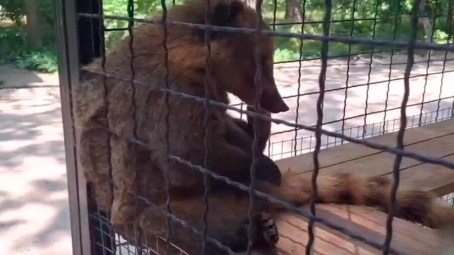 ���������� ��������-���� ����� ������ ��� ����������� � ���� ������