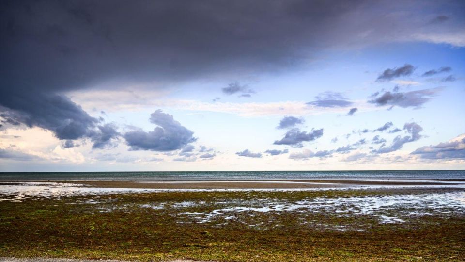 �������� ������: ������ � ��������� ������������� � ������� ���������� ��� ��������