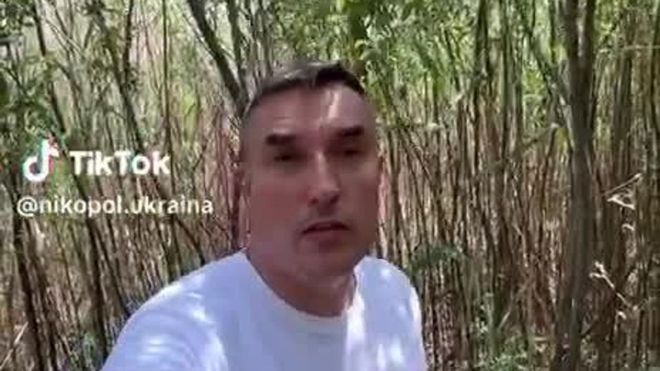 ������ �������� �������, ��� ������ �������� ��������� �������������, ������� �������� ��� ���� �����