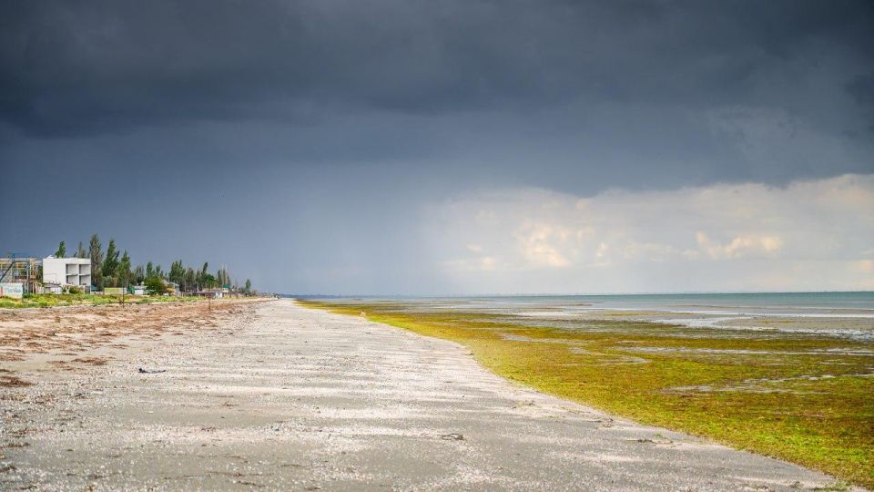 ���������� ��� ��������. �������� � Telegram-����� ����������� ���������� ������� ���� �� �������