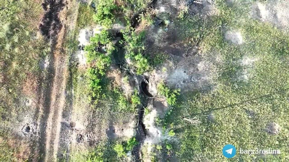 ����������� �����������. ��������� �����-3 ���������� ������� ���������� ����� �� ����������� �����������