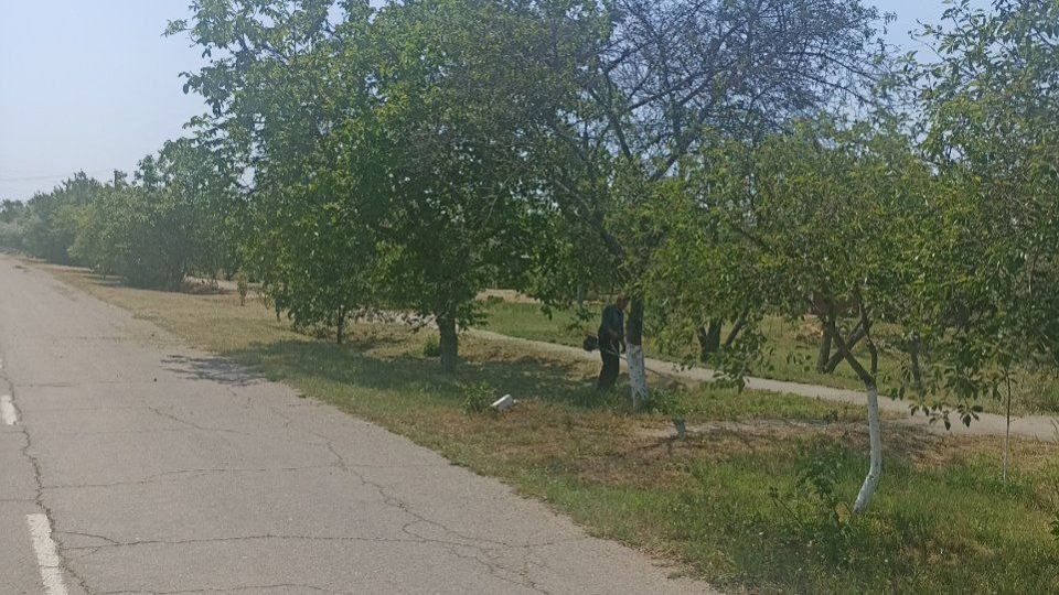 � ����� �������� ������������ ������ ��������� ����������