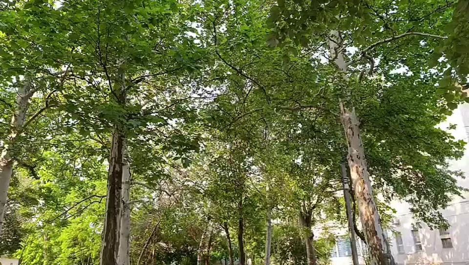 ������ ����, ������ ���������� ������!