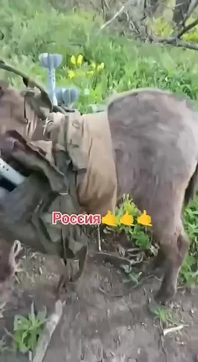 ���� ��� �� ������� � �� �� ��� �� ��������!