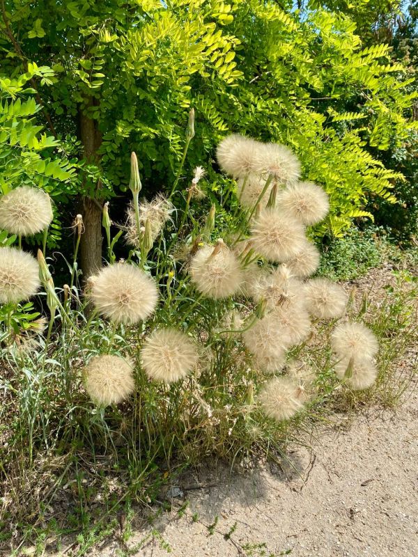 ������ ���� ����!. ������� ������ �������� ������� ������, � �� ��� ���� ���������� � �����������