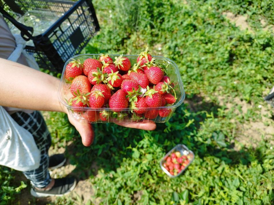 � ��������� ������ ����� ����� ������� ������������� ���������� �����