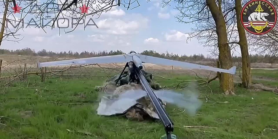 ��� ������: ���������� �����������. �� ����� ������� ��������� ��������, ��������� 61-� ������� ������� ������ ������� ������� ��������������� ������� ���