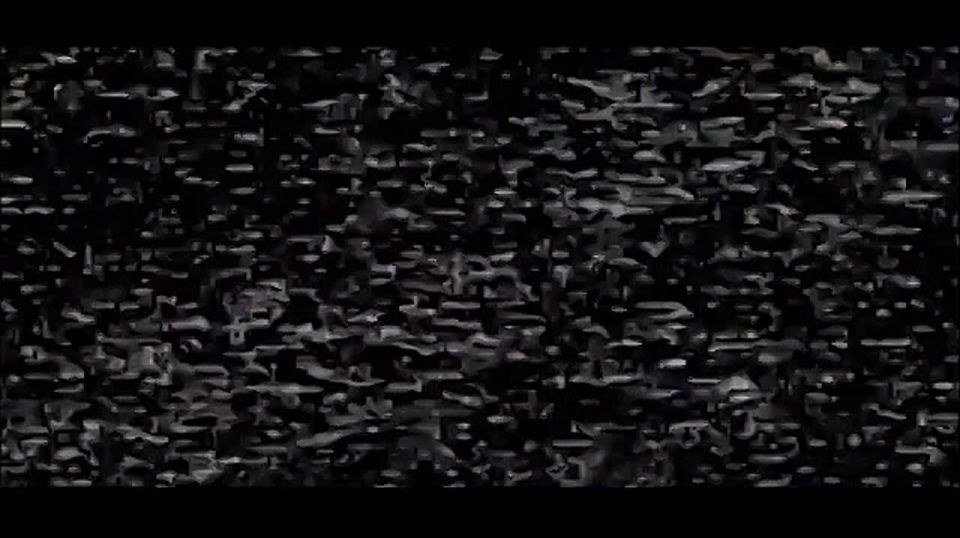 ������ ������ �������� ���� �������� 49 ����� �� ���������� �����������